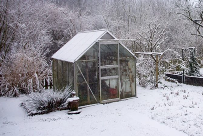 Co uprawiać zimą w szklarni lub namiocie?
