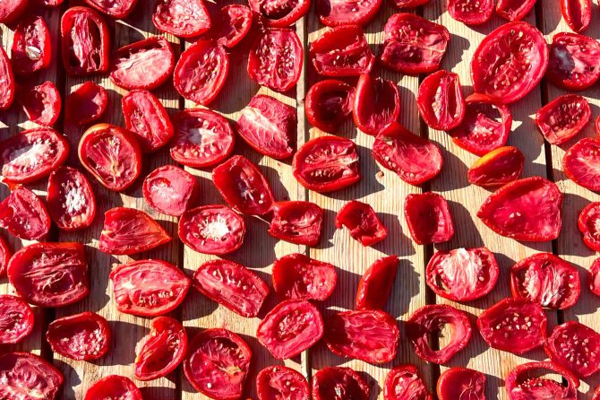 Obfita uprawa pomidorów? Suszenie to świetny sposób na przetworzenie resztek!