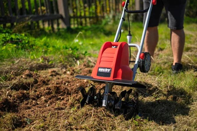 Zdrowe rabaty kwiatowe na przyszły rok: pielęgnacja jesienna krok po kroku