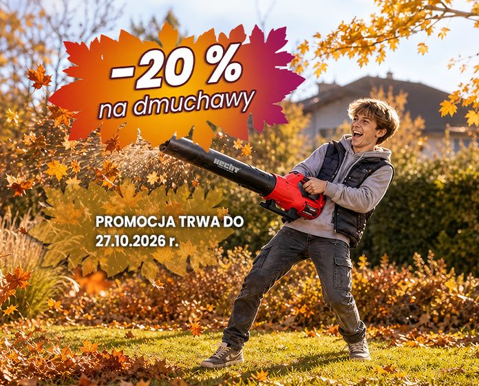 DMUCHAWY -20%