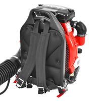 HECHT 972 PROFI - Benzinmotoros lomb fúvó