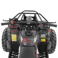 Benzinmotoros quad 125ccm