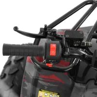 Benzinmotoros quad 125ccm