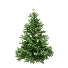 Prémium Nordmann fenyő - XXL méret