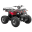 Quad, buggy, motor
