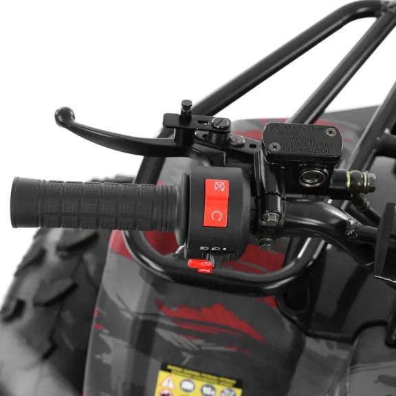 Benzinmotoros quad 125ccm