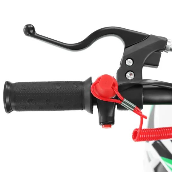 HECHT 54557 GREEN - Benzinmotoros motor