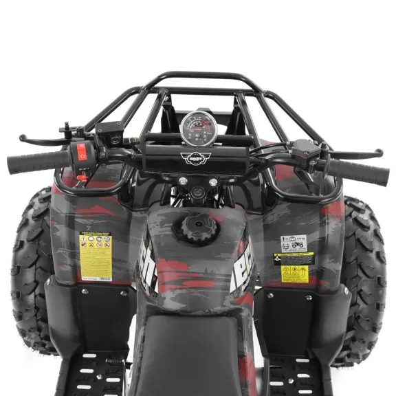 Benzinmotoros quad 125ccm