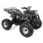 Benzinmotoros quad 125ccm
