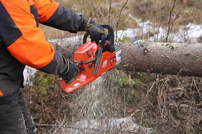 Honnan tudhatod, hogy a fa elég száraz a fűtéshez? | HECHT