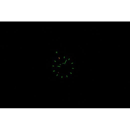 TRASER P99 Q TACTICAL GREEN NATO - TACTICAL - HODINKY
