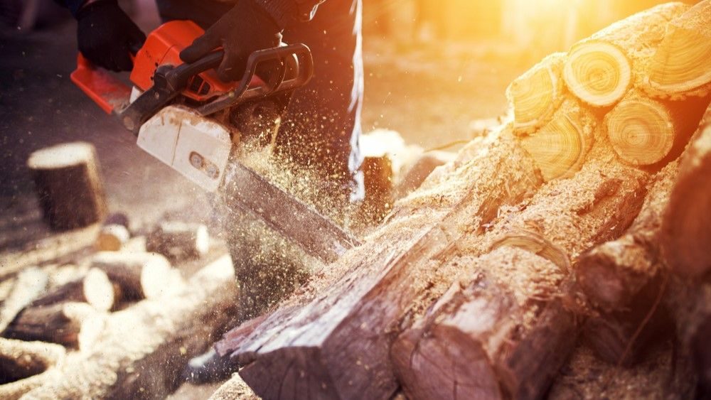 řezání dřeva udržovanou motorovou pilou