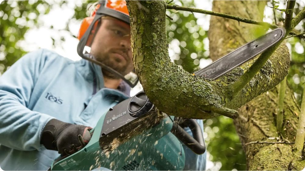 Elektrická řetězová pila – prořezávání větví stromu
