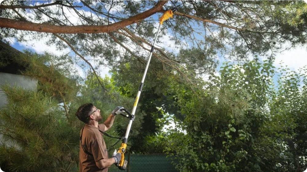 Prořez stromu pomocí teleskopické vyvětvovací pily ze země