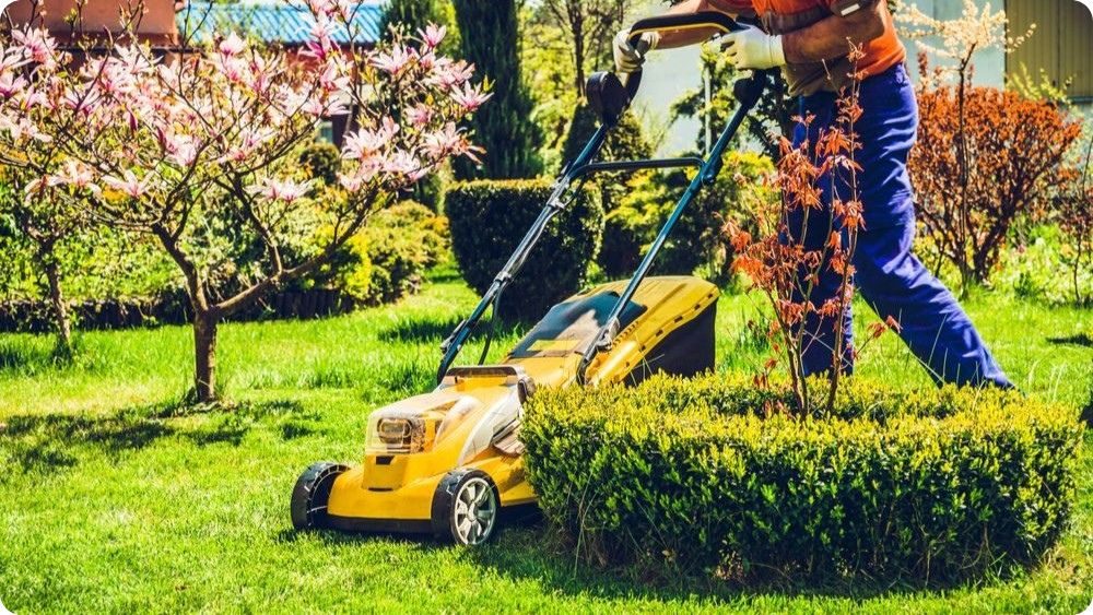 Akumulátorová sekačka při sekání trávníku v členité malé zahradě