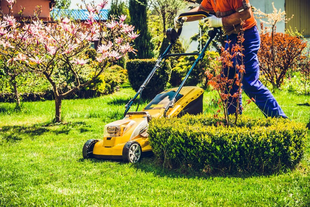 Akumulátorová sekačka při sekání trávníku v členité malé zahradě