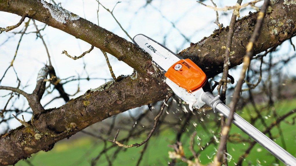 benzínový prořezávač při vyvětvování stromu