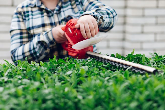 Stříhání živého plotu: Vyvarujte se těchto 4 chyb a bude z něj chlouba vaší zahrady