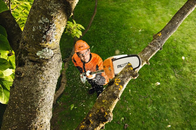 Jarabák vybírá: Nejlepší vyvětvovací pily pro pohodlný a bezpečný řez stromů