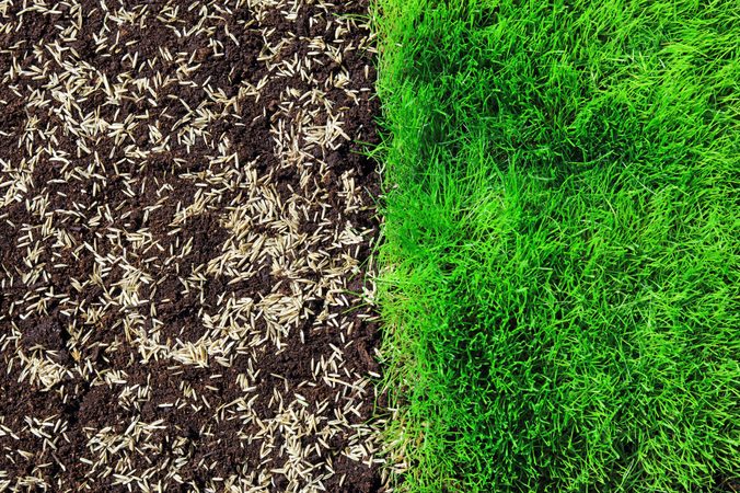 Jak založit trávník krok za krokem