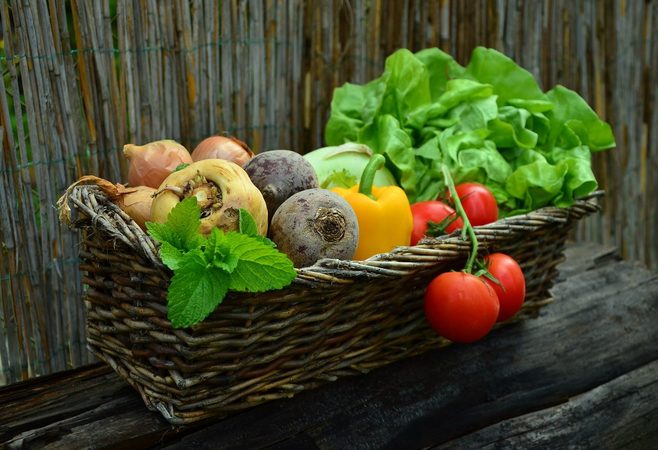 Zimní výsev zeleniny – začít můžete již v únoru!
