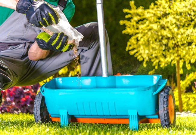 Zásady správného hnojení trávníku