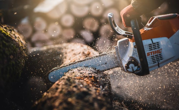Jakou motorovou pilu STIHL vybrat? Tipy na osvědčené modely
