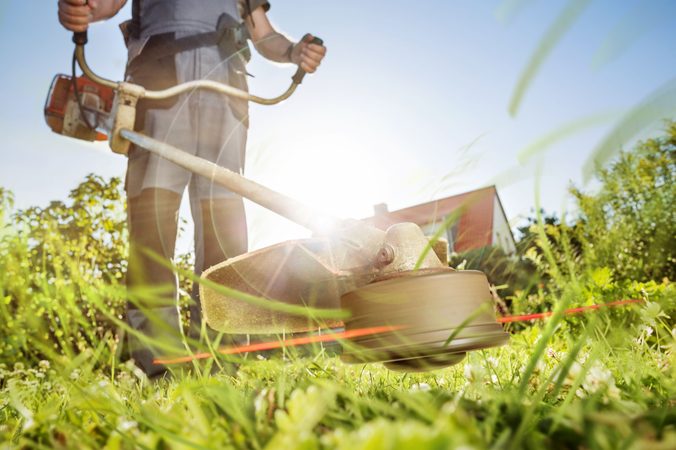Křovinořez nebo strunová sekačka: Co vybrat pro vaši zahradu?