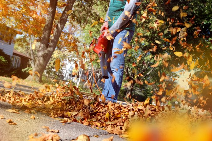 Jak vybrat fukar a vysavač na listí