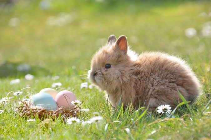 Velikonoční tradice a jejich symbolika