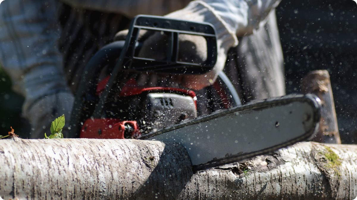 Řezání kmene motorovou pilou spodní částí lišty při stabilním vedení řezu