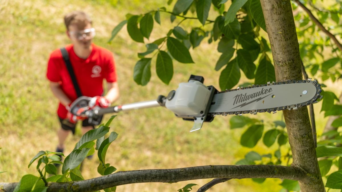 prořezávání větví stromu teleskopickým prořezávačem