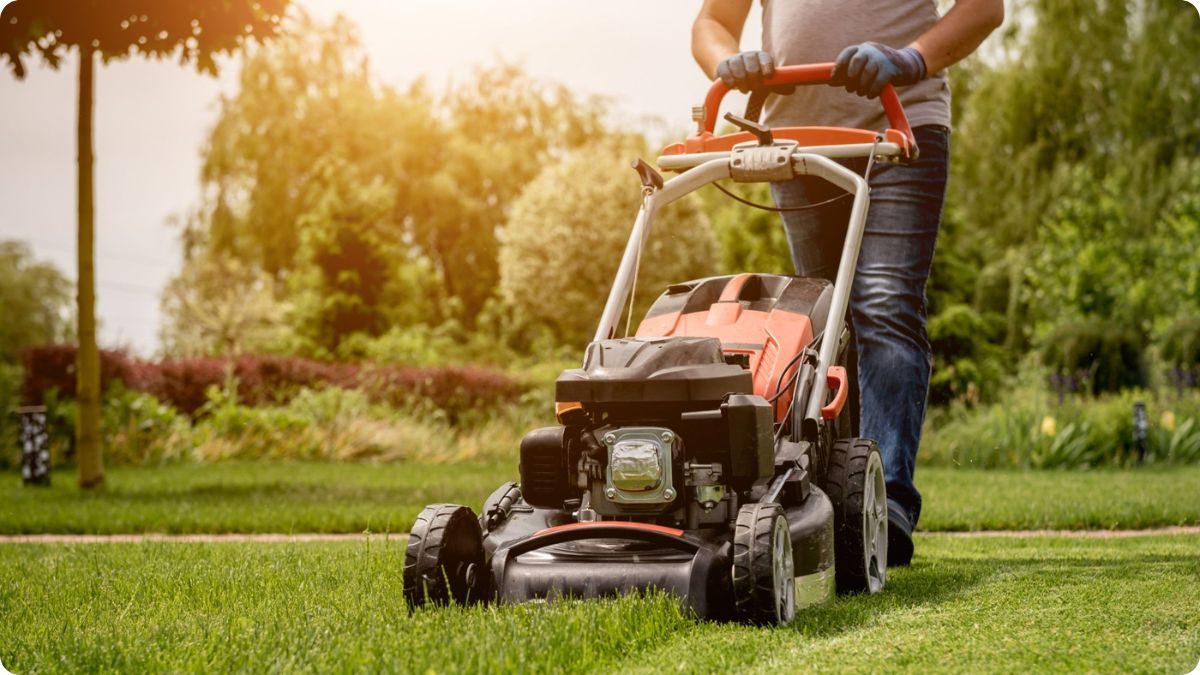 benzínová sekačka s pojezdem – sekání trávníku na zahradě
