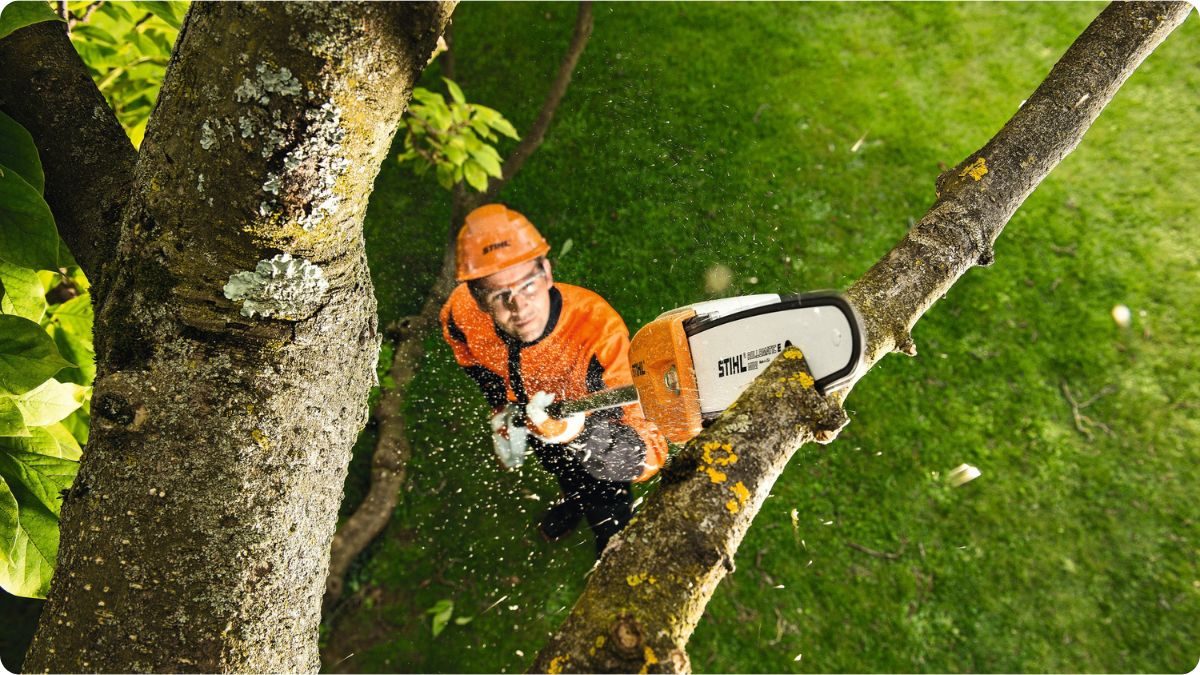 Teleskopická vyvětvovací pila STIHL - bezpečné prořezávání větví stromu ve výšce