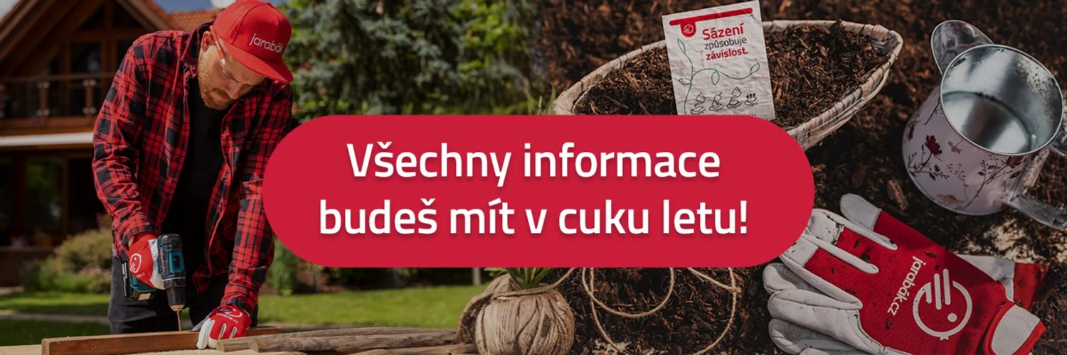 Úvodní obrázek newsletteru