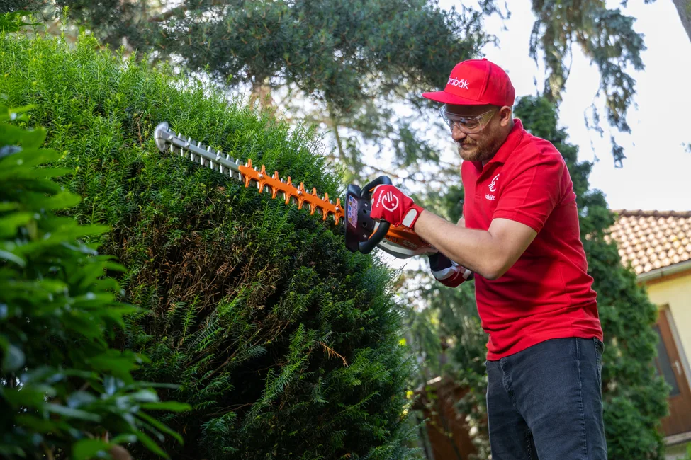 Jak vybrat nůžky na živý plot