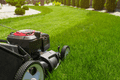 Jak vybrat sekačku na trávu