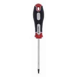 Skrutkovač TORX T15X100