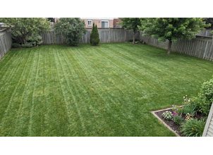 Robotická sekačka ničí trávník? 8 mýtů, které stále kolují v diskuzích