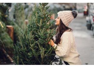Jak zabránit opadávání vánočního stromečku ve 4 snadných krocích