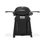 Plynový gril Weber Q 2200N Premium Stand
