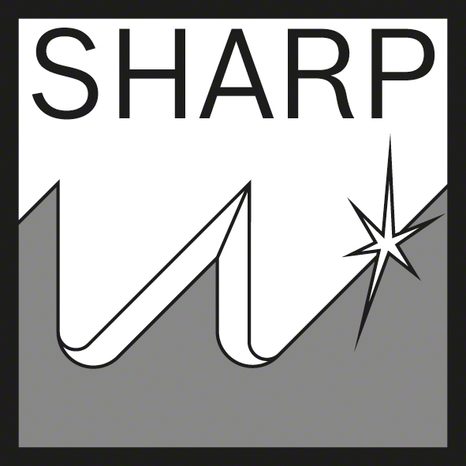 Pilový plátek do pily ocasky Bosch S1542K 2608650681 - 5