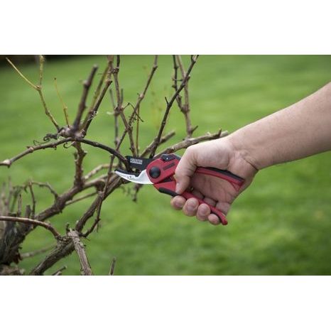 Ruční zahradní nůžky Kreator KRTGR1002 - 3