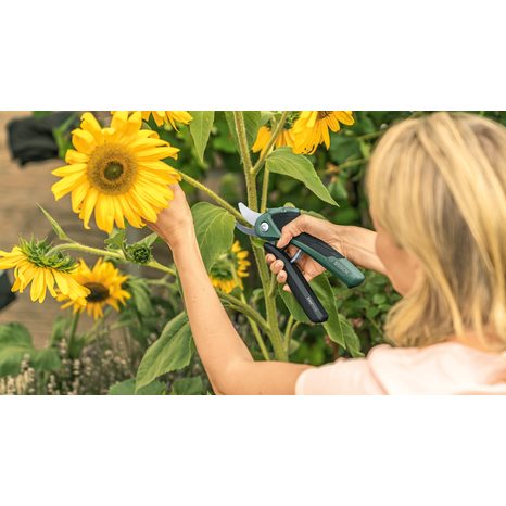 Aku záhradné nožnice Bosch Easy Prune 06008B2100 - 6