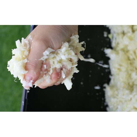 Drvič ovocia VARES Fruit SHARK - 21