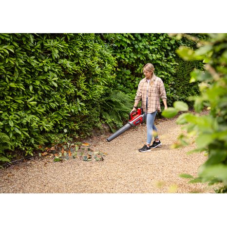 Aku fukar na listí Honda HHB36B XB - 7