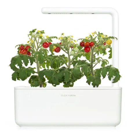 Kapsle Smart Garden - Rajče mini, Click and Grow 6671 - 3