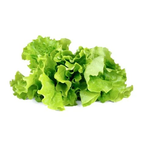 Kapsle Smart Garden - Hlávkový salát, Click and Grow 6685