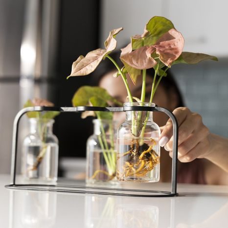 Stanica na množenie rastlín Fiskars 1080912 - 2