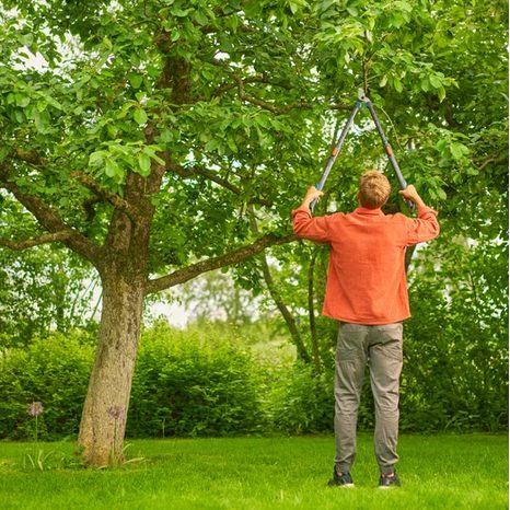 Pákové teleskopické zahradní nůžky Gardena TeleCut Pro L 12041-88 - 6